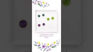 Colorful gemstone stud earrings #jewelry #jewelrydesigner