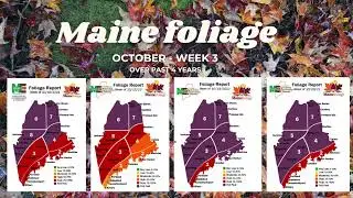 Maine Foliage Maps to plan your Fall Leaf Peeping