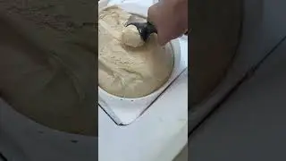 Maple walnut!
