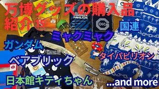 [大阪&bull;関西万博で手に入れたグッズ購入品紹介⑮]赤十字ハートラちゃん,ムーミン,ベアブリック,日本館キティちゃん,ガンダム,国連,ブラジル限定スタンプ,ミャクミャク,and more...