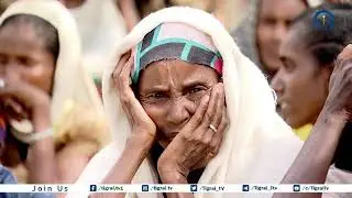 IDPs from Western Tigray sheltering in Abi-Adi , Central Tigray continue to die due to hunger