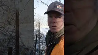 Would you have shot? #hunting #rabbit #kentucky #outdoors
