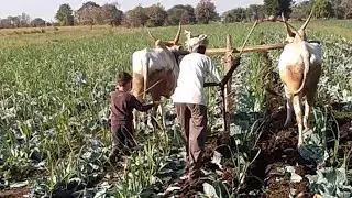 ರೈತ ಅನ್ನ ಕೊಡವ ದಾತ.... ಎಲ್ಲದಕ್ಕೂ ಶ್ರೇಷ್ಠ ವಾದದ್ದು ಅನ್ನ.. ಅದನ್ನು ಸೃಷ್ಟಿ ಮಾಡುವವನು ರೈತ...
