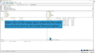 How to Create or Delete a Directory Using the FileZilla FTP Client   BLUE ARCTIC