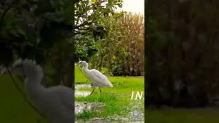 INDIA 8k 4k HDR (Dolby)hort#viral#video#hort#video#short#viral#video#TikTOK#indian #instagram #4K#8K