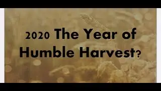 Humble Harvest-Evaluation