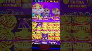 San Fa Tiger Bonus Feature (Sticky Wilds)