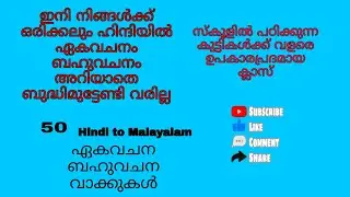 Singular plural/ How easy is it to learn Hindi#hindieducationvideo#hindi#education