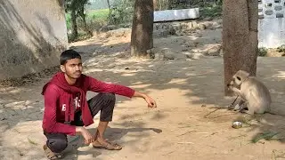 🐒  monkey ke sath 😉  enjoy