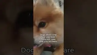 The way dogs love us hits different ❤️🐶