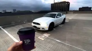 2013 MUSTANG EARLY MORNING POV / COFFEE RUN☕️