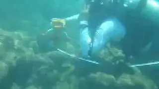 Reefcheck Transect