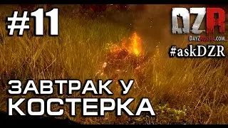 Завтрак у костерка 11.08.14 #askDZR. Ответы на ваши вопросы.