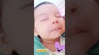 Dfbn