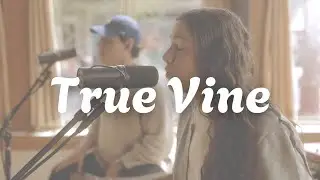 True Vine | Called Collective (Acoustic Music Video)