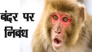 बंदर पर निबंध हिंदी में | 'Bandar' par Nibandh | 10 lines on Monkey in Hindi | essay on monkey