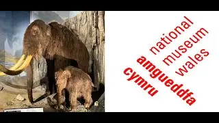 National Museum of Wales December 2025 