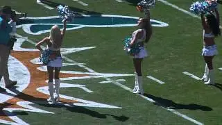 the miami dolphins cheerleaders 2014