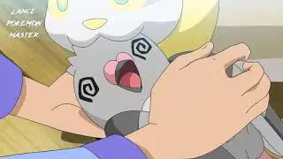 Cloe's Yamper Brings an injured Pidove Home |Pokemon Journeys|