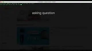 Run Local AI Chatbot With Ollama