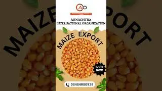 Export Maize || मक्का निर्यात || Annachtra International Organisation |Agro Commodities #maizeexport