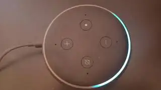 Testing Guard Feature in Amazon Echo Dot 3