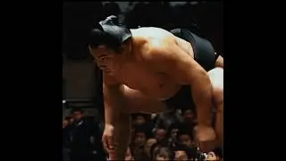 TWO GOATS, one match, who wins? #hakuho #chiyonofuji #sumo #大相撲 #wrestling