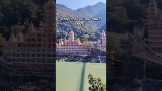 Is Laxman Jhula open | Laxman Jhula Rishikesh | First Glass Bridge of Rishikesh #shorts #laxmanjhula