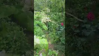 Laisse la corde cass&eacute;e