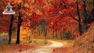 Ambient Relax, Calm, Yoga, Peaceful, Meditation, Spa, Sleeping, Healing Music || Stay for Meditation