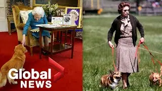 Looking back at the queen&rsquo;s love of corgis