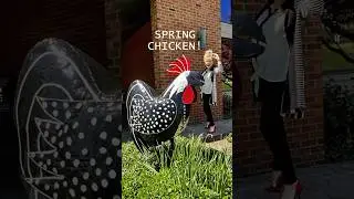 Rooster Art For The Garden #shorts