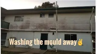 From Gross to Gorgeous: Our Mould-Removal Makeover #housewashing #mackay
