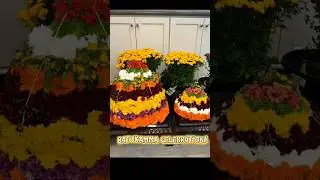 Batukamma vibes from Houston 💐✨🌼💛 #Batukamma#HoustonCelebrations #TelanganaCulture#FestivalOfFlowers