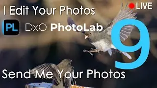 Photo editing LIVE with DxO Photolab 9.4 - Send me your photos!