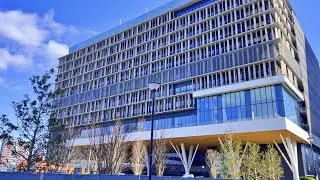 【大阪公立大学 / 森之宮キャンパス】2025/1/16　樹木が植えられたキャンパス！