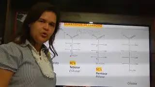 Aula Carboidratos - parte 1 - Conceito e classificação