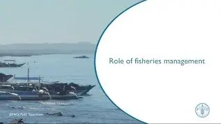 Role of fisheries management