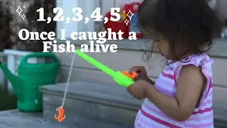 1,2,3,4,5 Once I Caught a Fish a Live | Nursery Rhymes and Kids Song | Counting Numbers