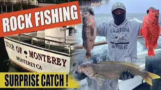 ROCK FISHING Charter in Monterey CA.  Chris' Fishing and Whale Watching.  (CATCH AND COOK WHITE)