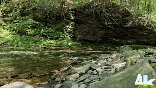 Peaceful River Flowing In The Pennsylvania Grand Canyon In The Heart Of the 