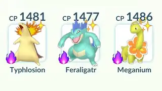 using Shadow Shiny (Typhlosion, Feraligatr, Meganium) in Pokemon GO.