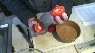 Tomato Seed Acid Extraction Demo