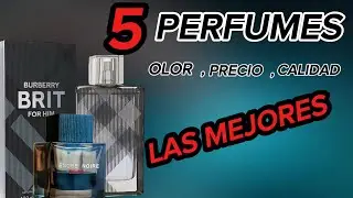 5 PERFUMES ECONÓMICOS, POR SU OLOR CALIDAD Y PRECIO, DEBES TENERLAS.