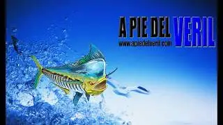 Vinilo SPARIDAE Alev&iacute;n Vs Pulpo