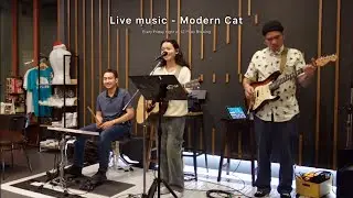 ModernCat (Only Song) Live at 12PlatoBrewing