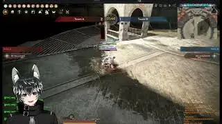 Pro Tekken player in BDO