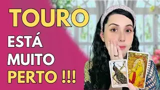 ♉TOURO🌈TUDO É POSSIVEL AQUELE QUE CRÊ🌞ALGO GRANDIOSO ESTÁ PRESTES A ACONTECER🎁