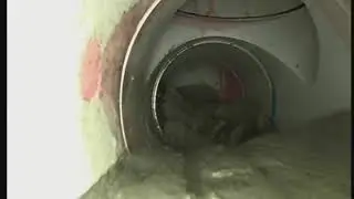 37 talbot st mt waverly. Sewer jetter by think smart plumbing(6)