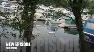 SurreyTV news stories from: This weeks trailer